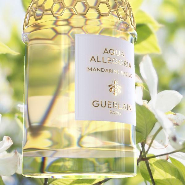 Liquid/Glass Rendering