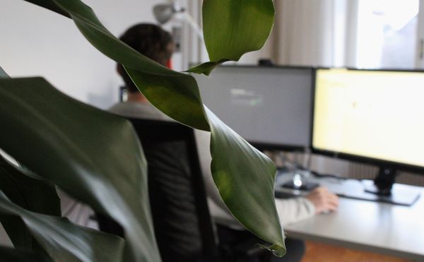 atuin.media office photo