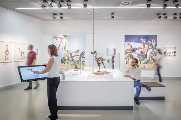 Dodo — die flugunfähige Riesentaube in 3D