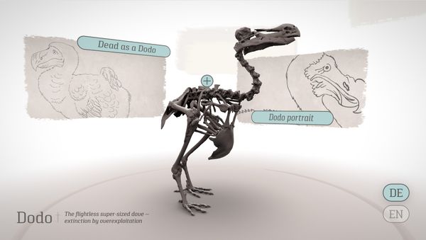 Dodo Terminal Interface